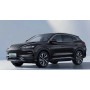 BYD Song Champion 2 BYD Song Champion — изображение 2
